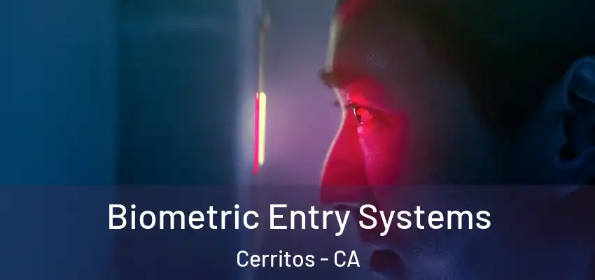  Biometric Entry Systems Cerritos - CA