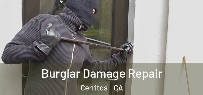 Burglar Damage Repair Cerritos - CA