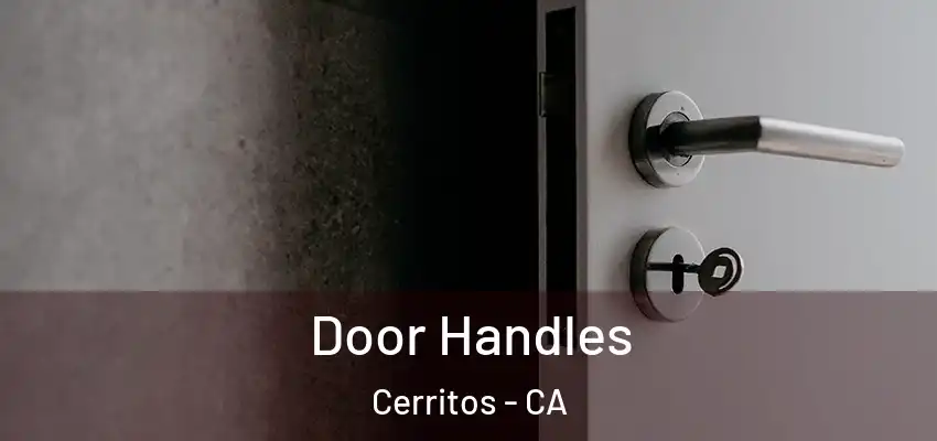  Door Handles Cerritos - CA